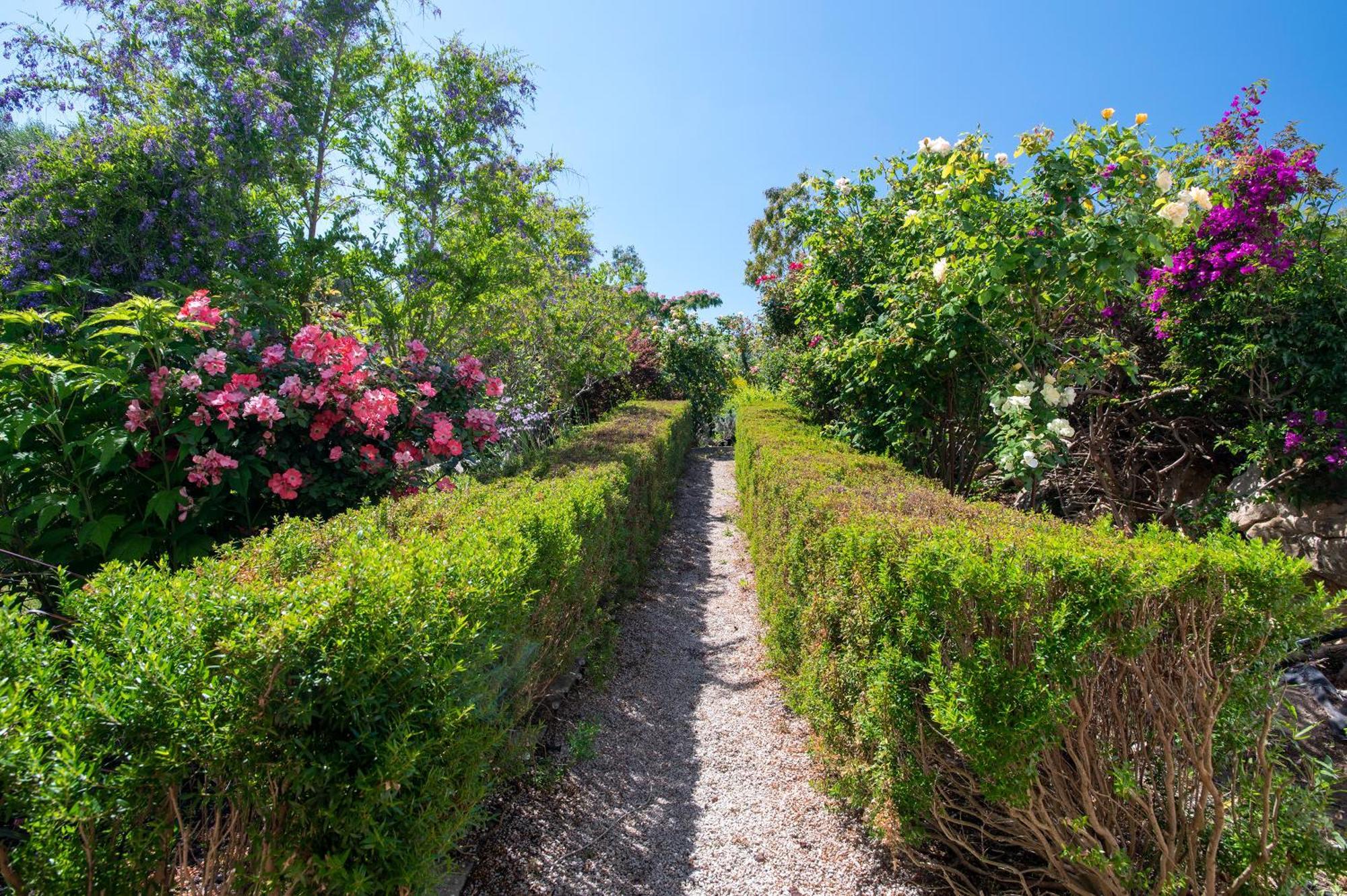 Sardinia Re - Villa Fioretta Flowers Apartments Olmedo Exterior foto